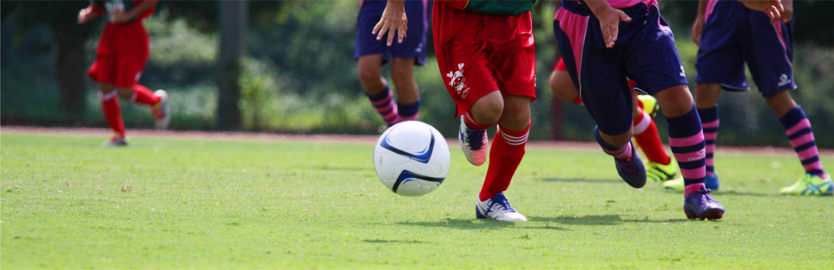 FC GRASION所属選手の集合写真